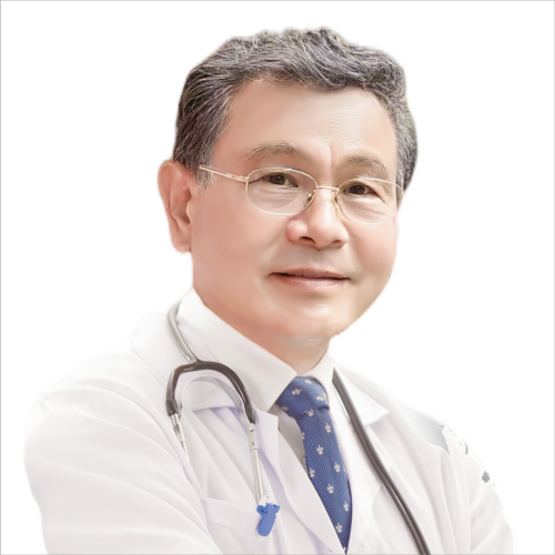 男性人體半身軀干模型（85cm/19件）