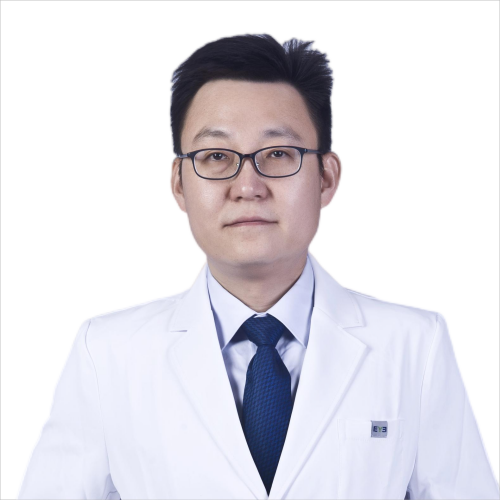 成人頭顱骨附血管神經模型
