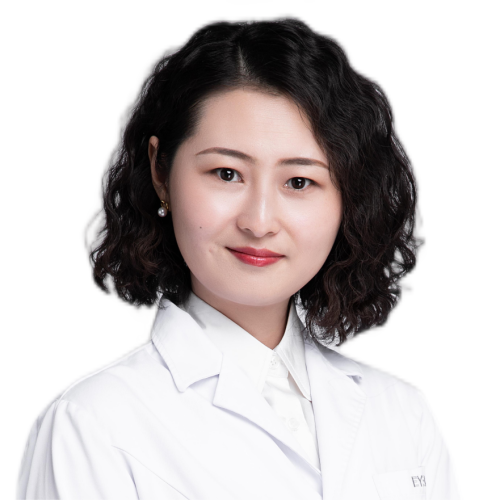 透明半身軀干附血管神經模型