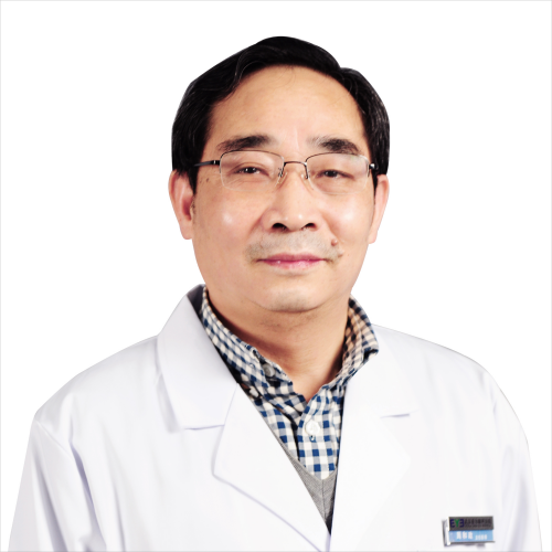 無性人體不開背式半身軀干模型（85cm/12件）